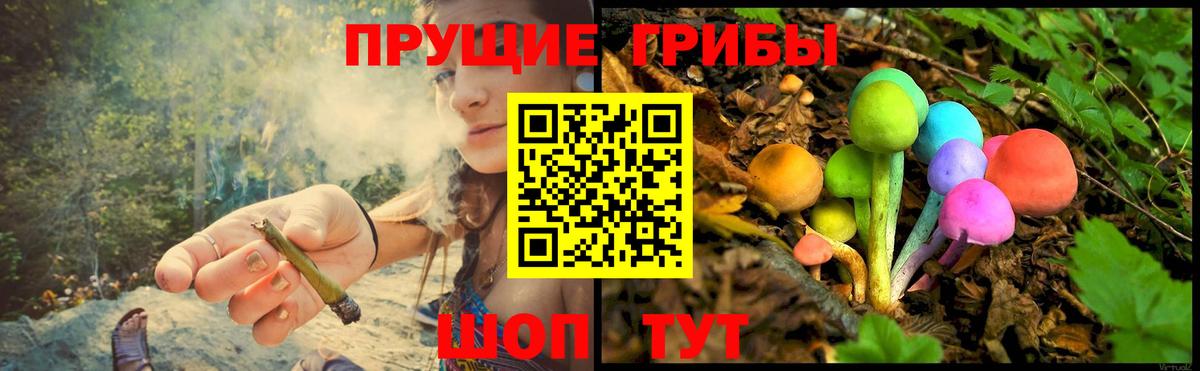Галлюциногенные грибы ЛСД  Вход с VPN  Вязники 
